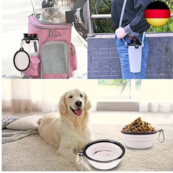 Getrennte Hundeflasche