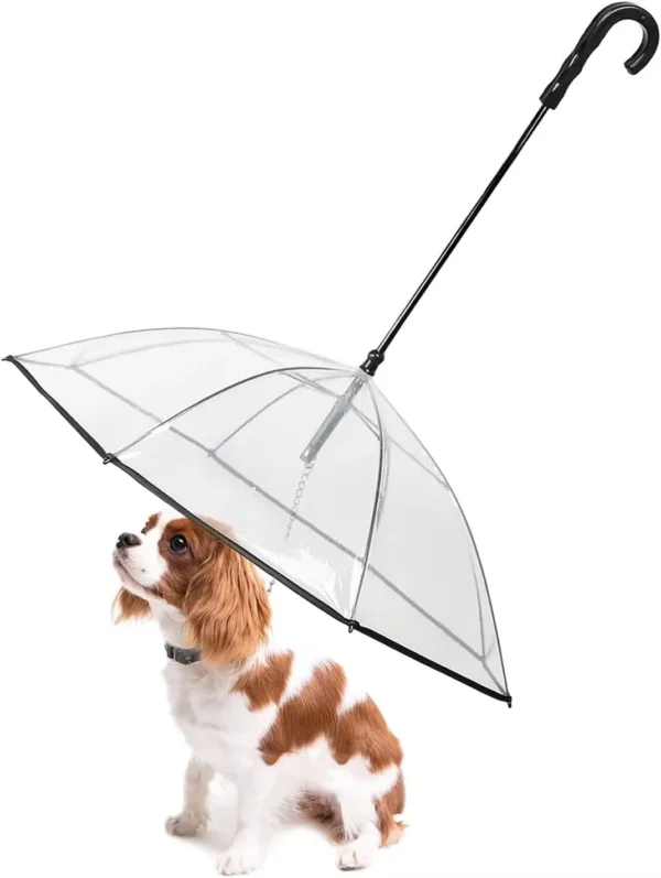 Regenschirm für Hunde