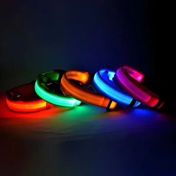 Leuchtendes Sicherheitshundehalsband Nylon LED Nacht Sicherheit Blinkend Leuchten im Dunkeln Haustier Hundeleine Haustier Hunde Leuchtend Fluoreszierend Hundezubehör Halsband